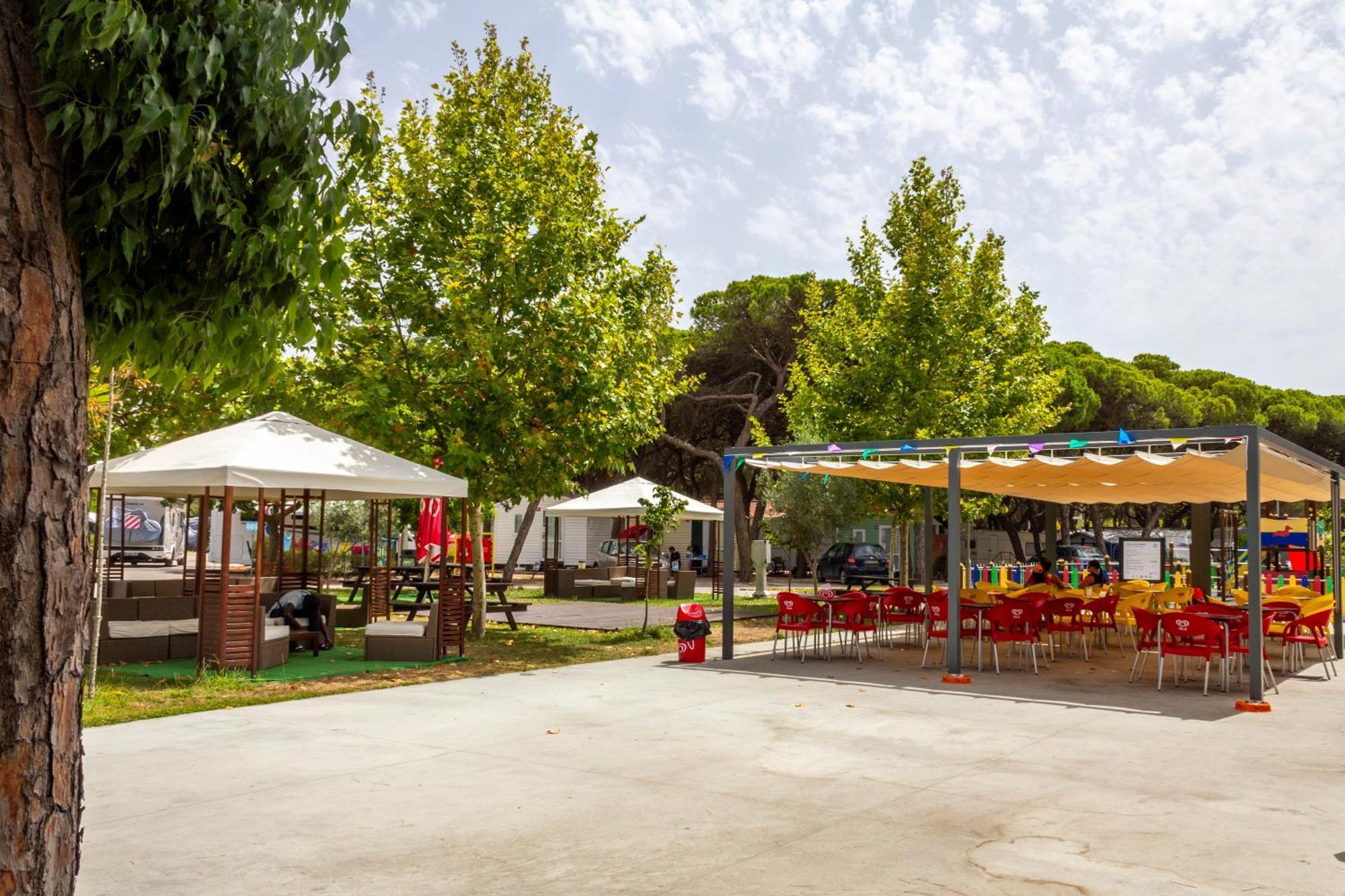 Camping Parque De Campismo Orbitur